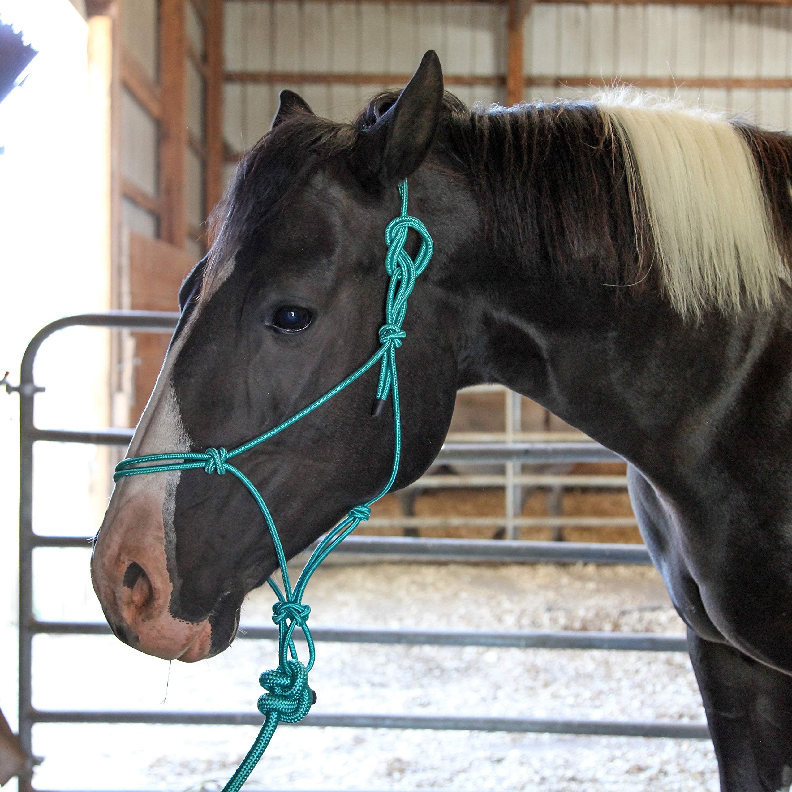 Majestic Ally 1/4" Rope 4 Knot Stiff Polyester Training Halter with 10’ Matching Lead Rope for Horses – Full (Turquoise, Full) - Image 3