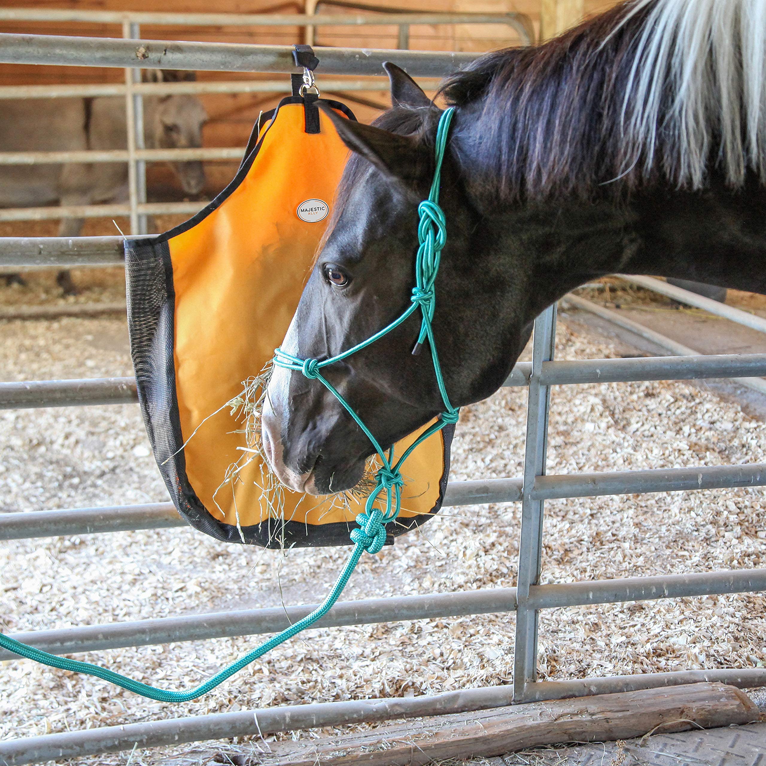 Majestic Ally 1/4" Rope 4 Knot Stiff Polyester Training Halter with 10’ Matching Lead Rope for Horses – Full (Turquoise, Full) - Image 4