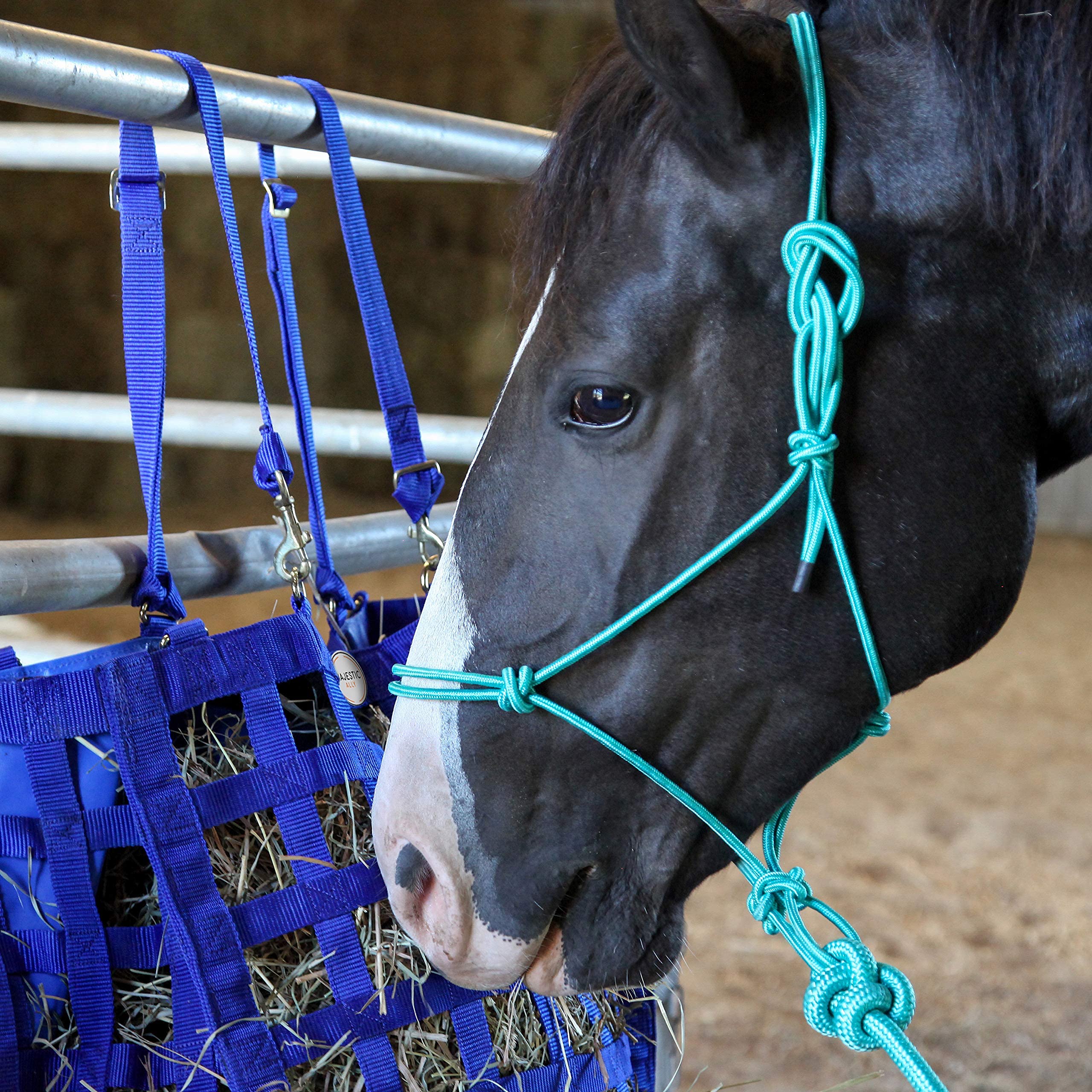 Majestic Ally 1/4" Rope 4 Knot Stiff Polyester Training Halter with 10’ Matching Lead Rope for Horses – Full (Turquoise, Full) - Image 7