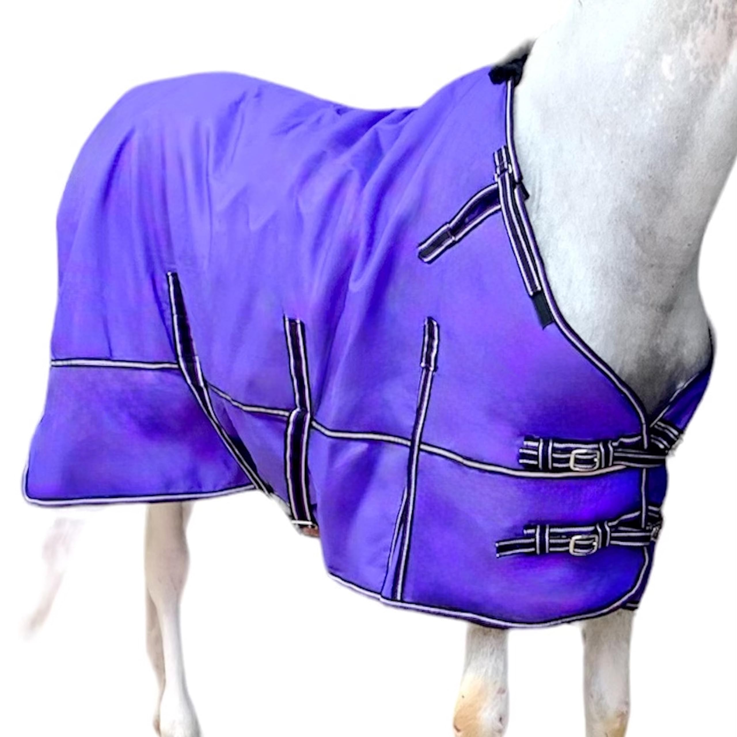 Majestic Ally 1200D Ripstop Horse Turnout Blanket 250 GSM Filling (Purple, 76 - Inch) - Image 3
