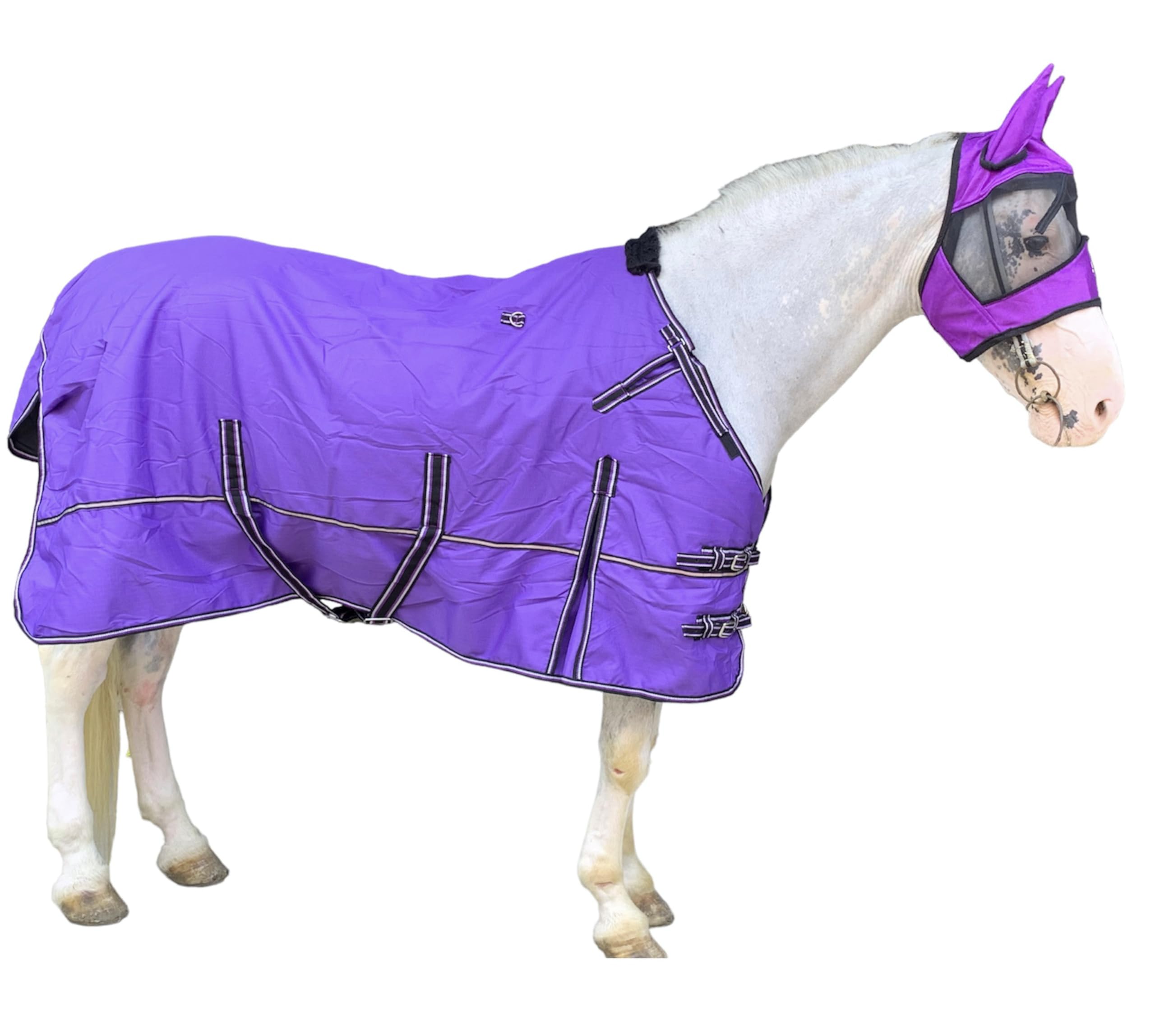 Majestic Ally 1200D Ripstop Horse Turnout Blanket 250 GSM Filling (Purple, 76 - Inch) - Image 7