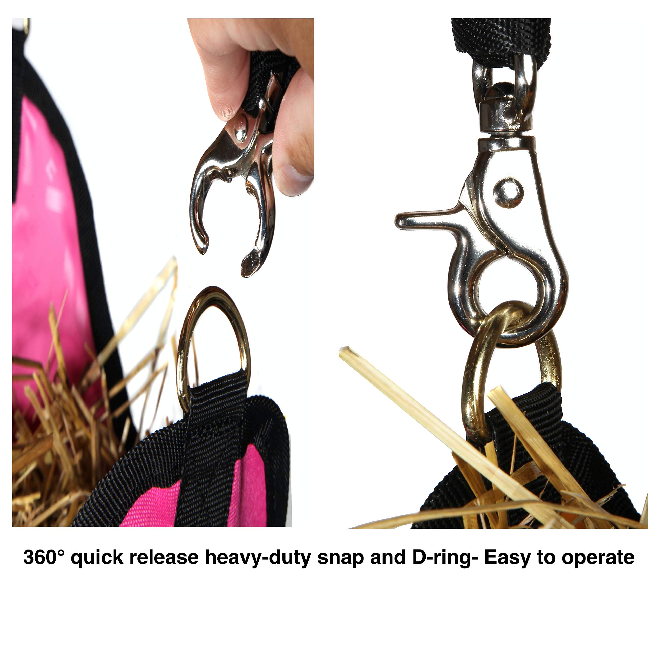 Majestic Ally Guinea Pig Hay Feeder – Rabbit Hay Feeder – Strong Nylon Wire Mesh Ventilated Feeder for Small Animals – 4 Lovely Colors and 2 Sizes– Easy to Use (2 Holes 16" x 10" x 3", Black) - Image 5