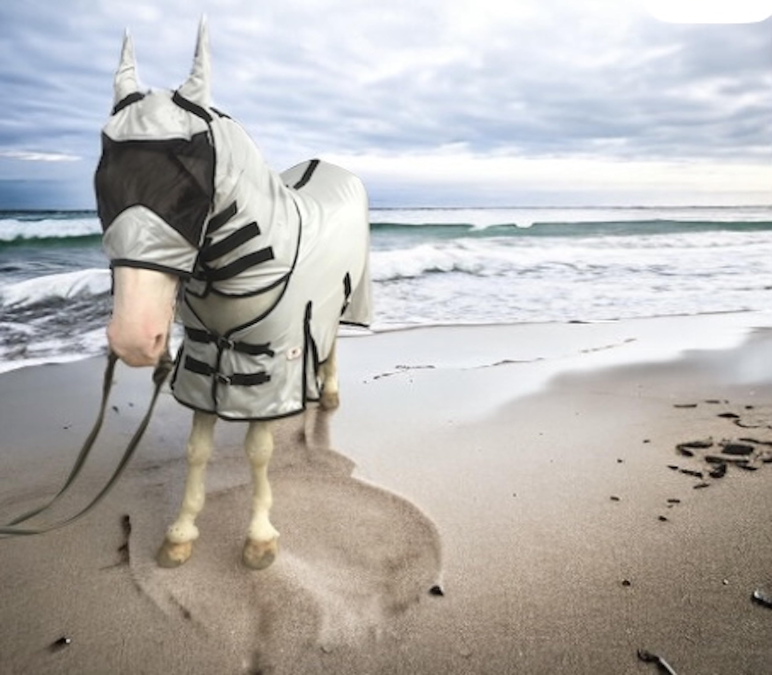 Majestic Ally Horse Fly Sheet with Neck Cover and Head Mask, Breathable UV and Bite Equine Protection, Adjustable Body Straps, Boarding or Turnout Accessory, Contoured Fit (Silver, 80 Inch) - Image 5