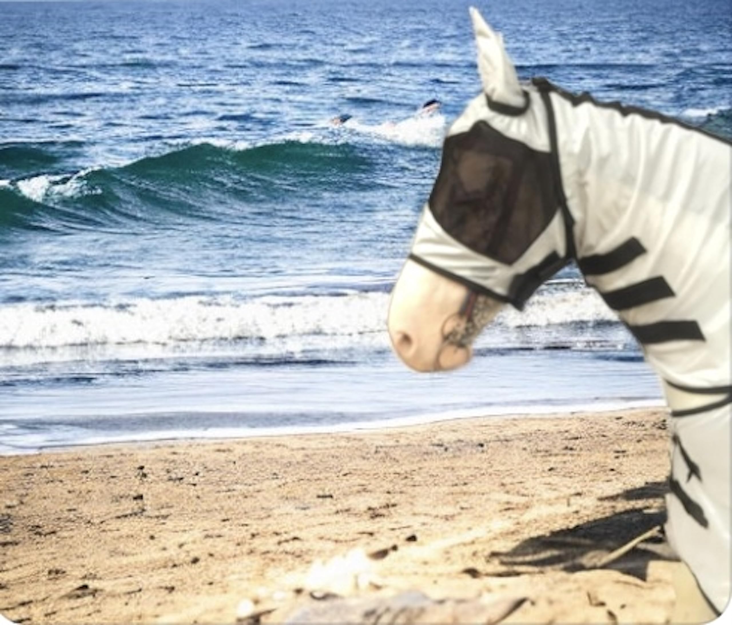 Majestic Ally Horse Fly Sheet with Neck Cover and Head Mask, Breathable UV and Bite Equine Protection, Adjustable Body Straps, Boarding or Turnout Accessory, Contoured Fit (Silver, 80 Inch) - Image 6