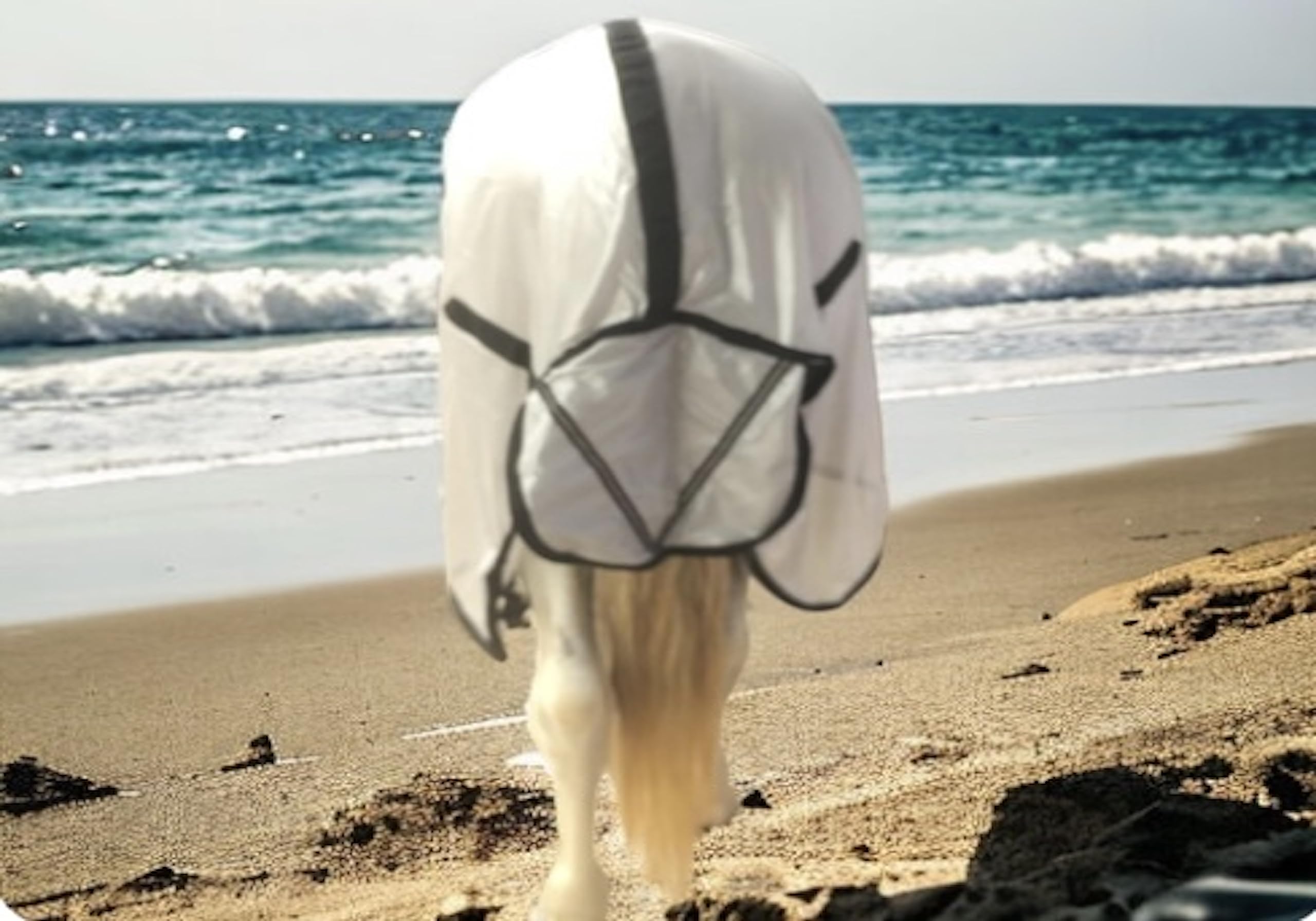 Majestic Ally Horse Fly Sheet with Neck Cover and Head Mask, Breathable UV and Bite Equine Protection, Adjustable Body Straps, Boarding or Turnout Accessory, Contoured Fit (Silver, 80 Inch) - Image 7