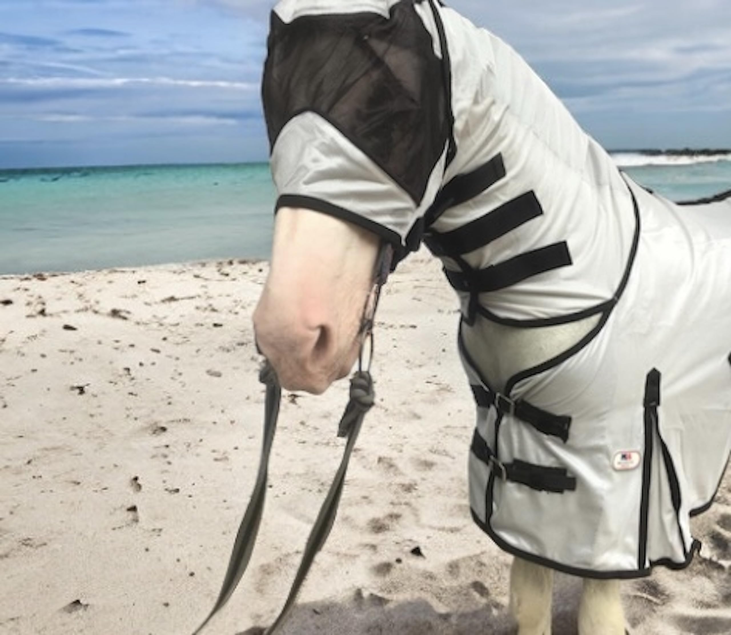 Majestic Ally Horse Fly Sheet with Neck Cover and Head Mask, Breathable UV and Bite Equine Protection, Adjustable Body Straps, Boarding or Turnout Accessory, Contoured Fit (Silver, 80 Inch) - Image 9