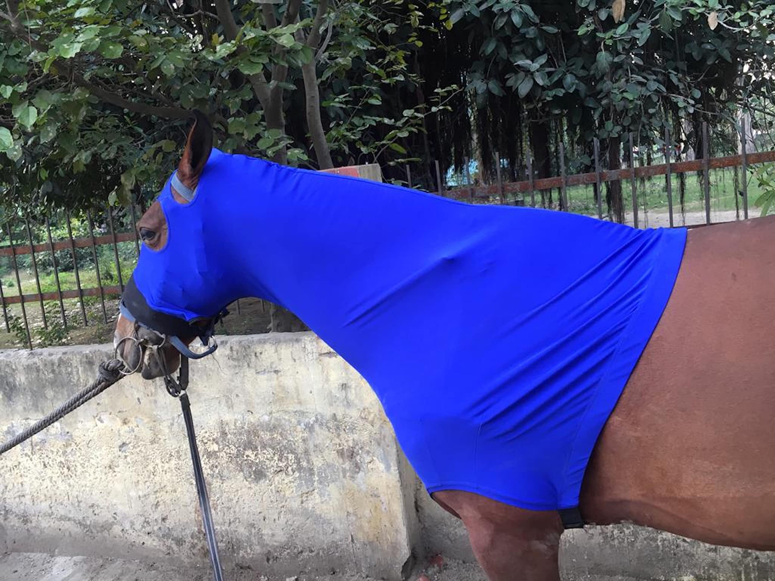 Majestic Ally Stretch Spandex Horse Hood with Zipper for Horses, Extra Large, Royal Blue, 100% Heavy Spandex - Image 5
