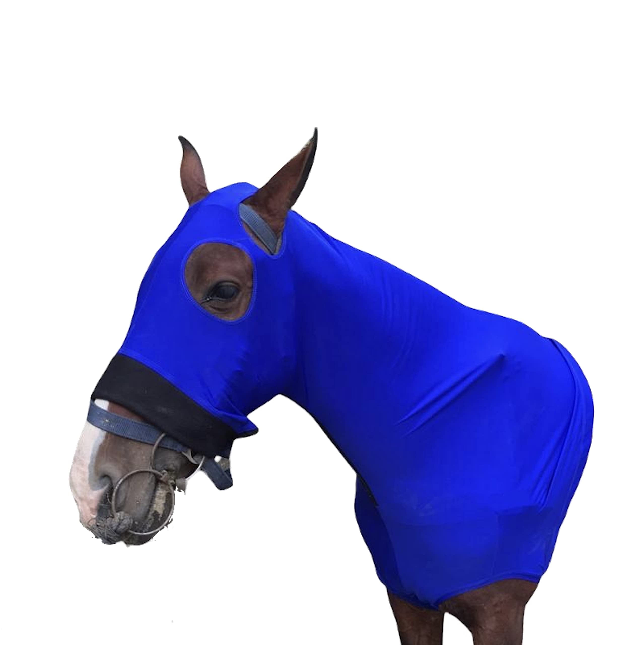 Majestic Ally Stretch Spandex Horse Hood with Zipper for Horses, Extra Large, Royal Blue, 100% Heavy Spandex - Image 6