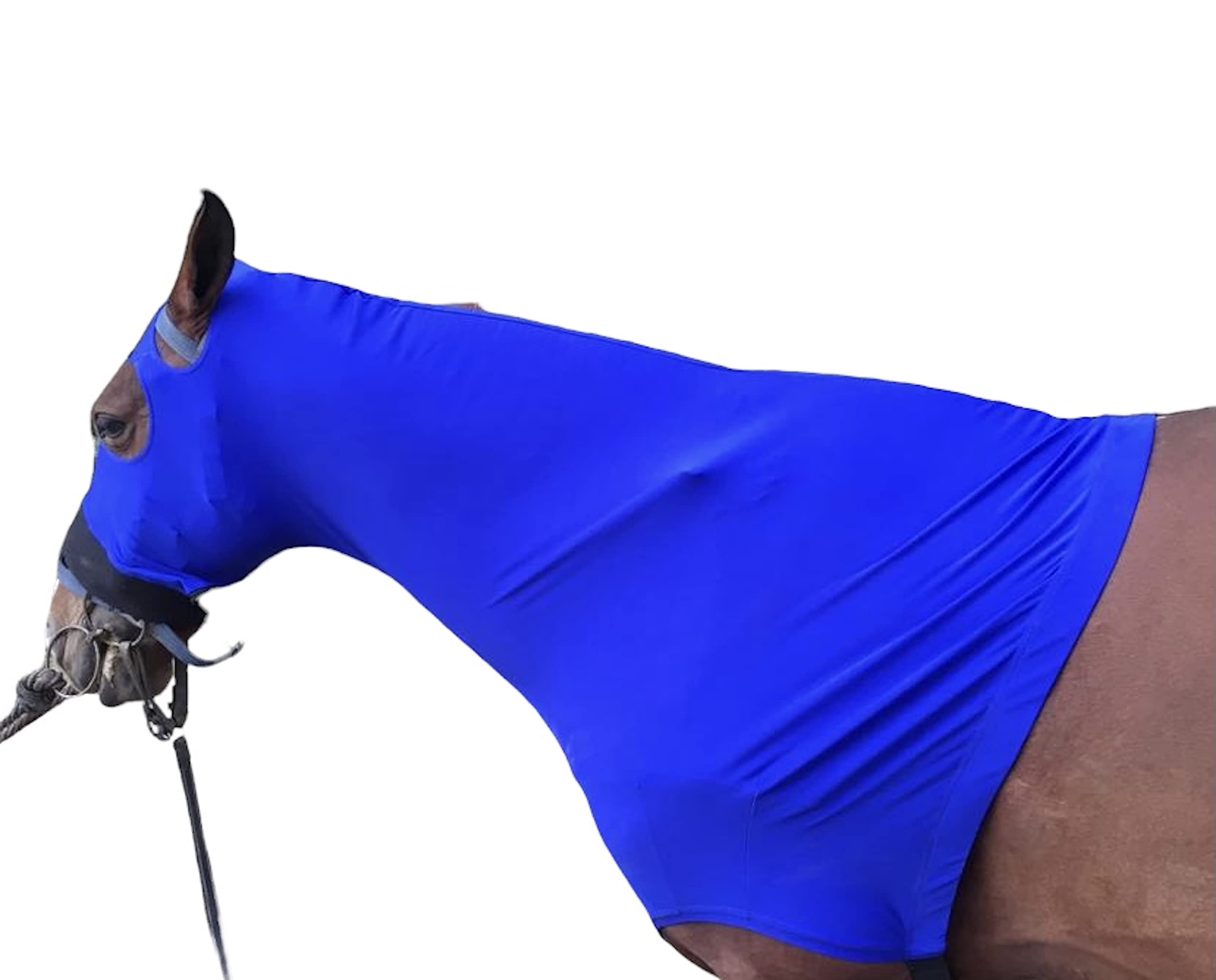 Majestic Ally Stretch Spandex Horse Hood with Zipper for Horses, Extra Large, Royal Blue, 100% Heavy Spandex - Image 7